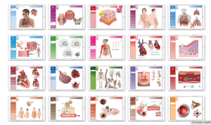 Esculaap Medical Suite